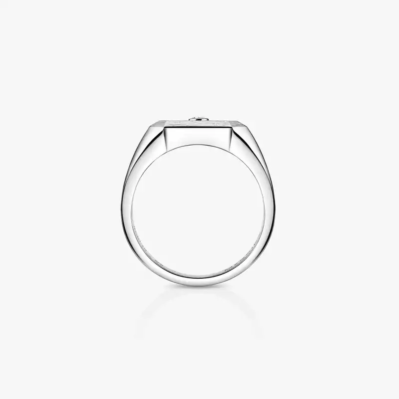Move Titanium Natural Signet Ring Natural Titanium For Him Diamond Ring 13771-TN